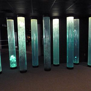 Pier 3 Pavilion - Bubble Tubes