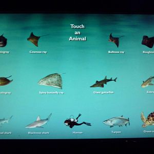 Pier 3 Pavilion - Level 1: Wings In The Water Signage