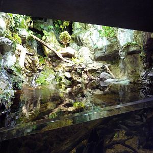 Pier 3 Pavilion - Level 2: Maryland: Mountains To The Sea