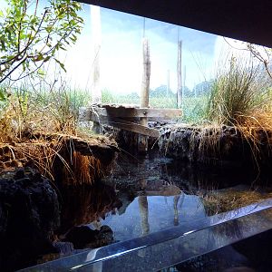 Pier 3 Pavilion - Level 2: Maryland: Mountains To The Sea