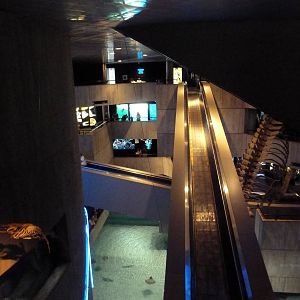 Pier 3 Pavilion - Overlook Of Escalators + Stingray Tank