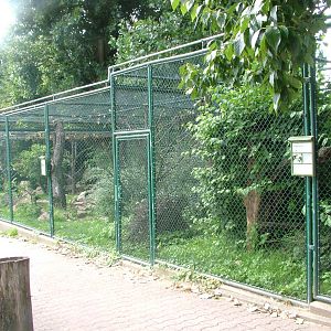 Kea and Tree Kangaroo Exhibits at Frankfurt 31/08/10