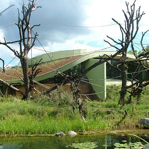 BorgoriWald Ape House at Frankfurt 31/08/10