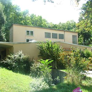 Giraffe House at Frankfurt 31/08/10