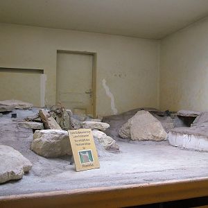 Fennec Fox Exhibit Construction at Frankfurt 31/08/10