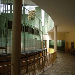 Giraffe House Interior at Frankfurt 31/08/10