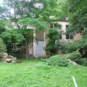 Klipspringer Paddock at Frankfurt 31/08/10