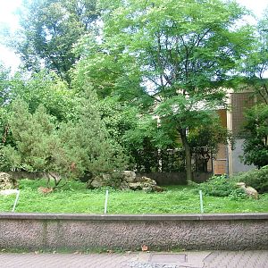 Klipspringer Paddock at Frankfurt 31/08/10