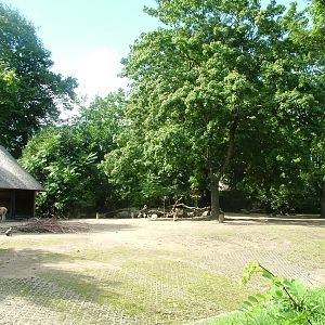 South American Paddock at Frankfurt 31/08/10