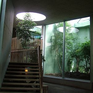 Cat House Interior at Frankfurt 31/08/10