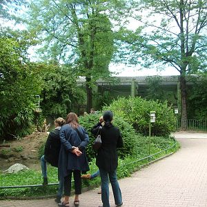Meerkat and Monkey Exhibits at Frankfurt 31/08/10