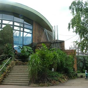 BorgoriWald Ape House at Frankfurt 31/08/10