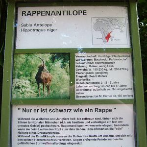 Signage Example at Frankfurt 31/08/10