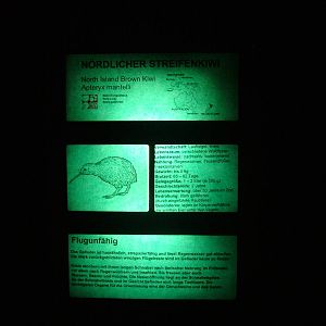 Signage Example at Frankfurt 31/08/10