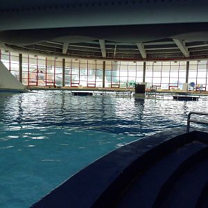 Pier 4 Pavilion: Dolphin Pool