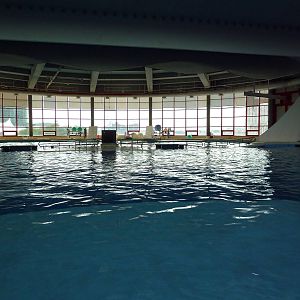 Pier 4 Pavilion: Dolphin Pool