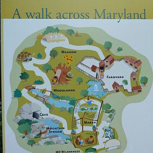 Maryland Wilderness - Map
