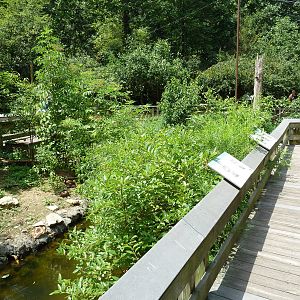 Maryland Wilderness - Walk-Through Marsh Aviary