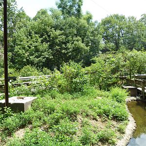 Maryland Wilderness - Walk-Through Marsh Aviary