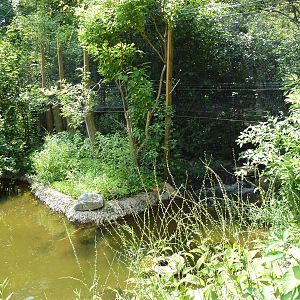 Maryland Wilderness - Walk-Through Marsh Aviary