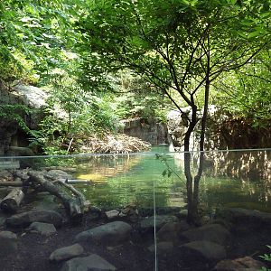Maryland Wilderness - River Otter Exhibit