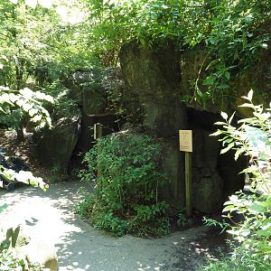 Maryland Wilderness - Cave