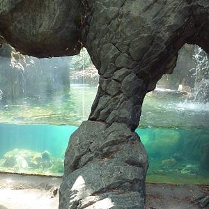 Maryland Wilderness - River Otter Exhibit