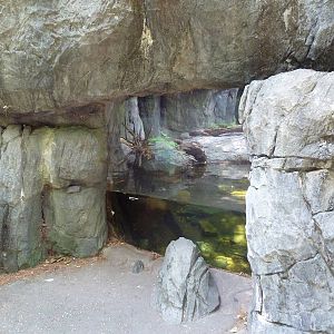 Maryland Wilderness - Red Fox/Alligator Snapping Turtle Exhibit