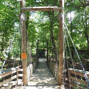 Maryland Wilderness - Bridge