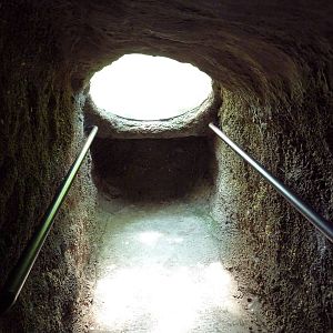 Maryland Wilderness - Eastern Box Turtle Exhibit (Pop Up Bubble)