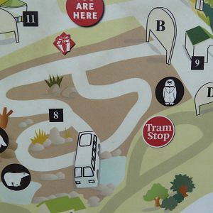 Polar Bear Watch - Map