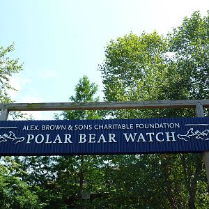 Polar Bear Watch - Sign