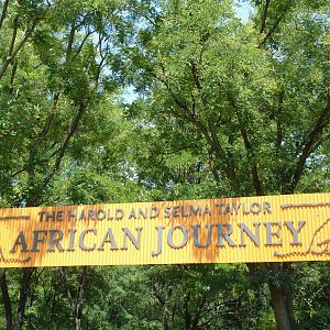 African Journey - Entrance Sign