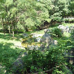 African Journey - Sitatunga/West African Black Crowned Crane/White Stork/Gr