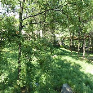 African Journey - Sitatunga/West African Black Crowned Crane/White Stork/Gr