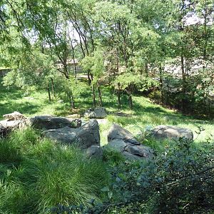 African Journey - Sitatunga/West African Black Crowned Crane/White Stork/Gr