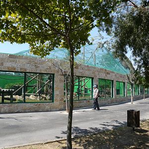 Orangutan and gibbons mixed exhibit