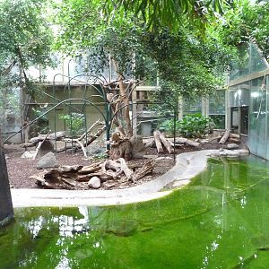 Toronto Zoo - Gibbon Exhibit