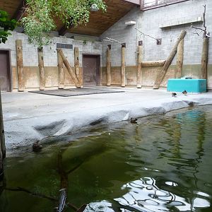 Toronto Zoo - Indian rhino/Malayan tapir building