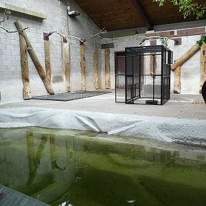 Toronto Zoo - Indian rhino/Malayan tapir building