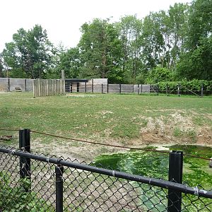 Toronto Zoo - Indian Rhino Paddock