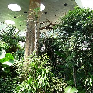 Central Park Zoo - Rainforest Building