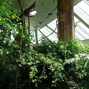Central Park Zoo - Rainforest Building