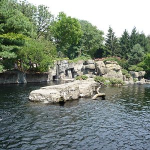 Central Park Zoo - Japanese Macaque Exhibit