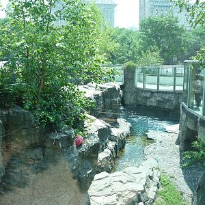 Central Park Zoo - Polar Bear Exhibit