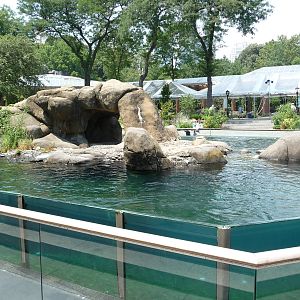 Central Park Zoo - Sea Lion Pool