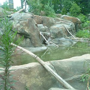 National Zoo - Sloth Bear Exhibit
