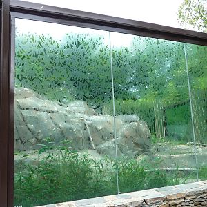 National Zoo - Sloth Bear Exhibit