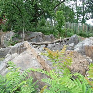 National Zoo - Sloth Bear Exhibit