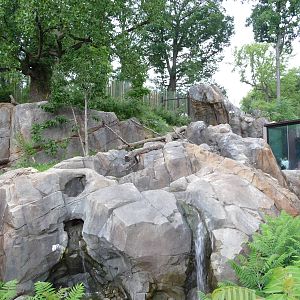 National Zoo - Sloth Bear Exhibit
